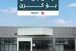 معرض سيارات للإيجار بمساحة 800م٢ في الترمنال الجديد