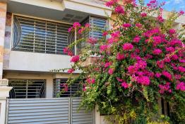 House 150m for Sale in Rasty