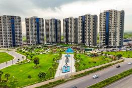Apartment 84m for Rent in Sun Tower