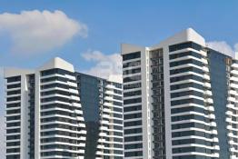 شوقە بۆ فرۆشتن 225م لە جیهان ستی