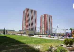 شوقە بۆ فرۆشتن 204م لە جیهان ستی 