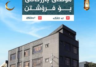 Commercial Building for Sale 250m in Tavga