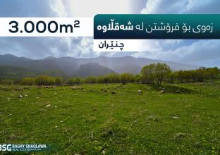 Land for Sale 3000m in Shaqlawa
