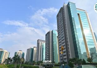 شوقە بۆ فرۆشتن 202م لە ئێمپایەر وینگ