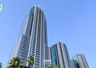 شوقە بۆ فرۆشتن 85م لە زانیاری تاوەر