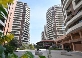 apartment for rent in park view