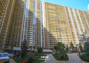 Apartment For Sale 220m in Roya Tower 