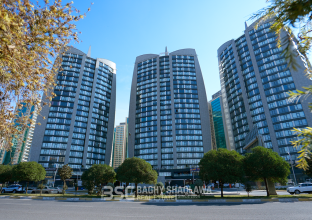 Apartment for Rent 101m in Empire Diamond