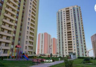 شوقە بۆ فرۆشتن 77م لە پرۆژەی جیهان ستی