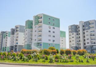 شوقە بۆ فرۆشتن 98م لە شاری مامۆستایان