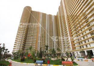 Furnished apartments for rent in Erbil Roya towers