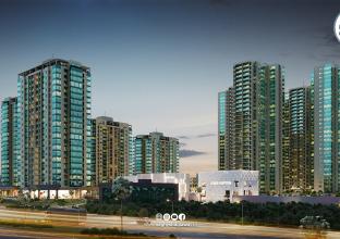 شووقە بۆ فرۆشتن 81م لە ئێمپایەروینگی نوێ  