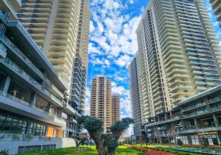 شوقە بۆ کرێ 80م لە پرۆژەی رامی تاوەر