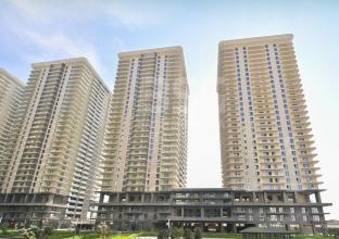 Apartment 165m for Rent in Rami Tower