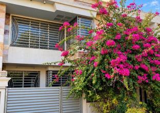 House 150m for Sale in Rasty