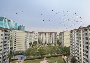 شوقەی بۆ فرۆشتن 273م لە ئیمپایەر رۆیال