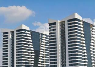 شوقە بۆ فرۆشتن 225م لە جیهان ستی